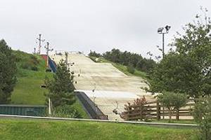 Pic of Dry Slope Skiing
